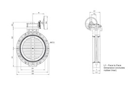 Diagram of large gear type butterfly valve