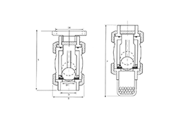 Ball Check Valves