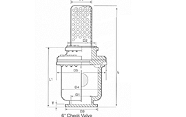 Ball Check Valves